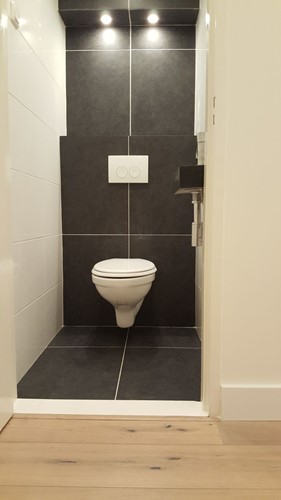 Toilet renovation by Optimum Contractors